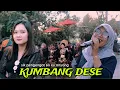 LAGU LAMA BERSEMI KEMBALI - REINATA 05 KUMBANG DESE DUREN TICAQ -Bq.susanti
