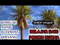Download Lagu BELAJAR DARI POHON KURMA I BEST MOTIVATION OF LIFE