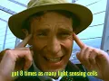 Bill Nye the Science Guy Season 3 Episode 18 Birds Flight Why Feathers Changed Everything