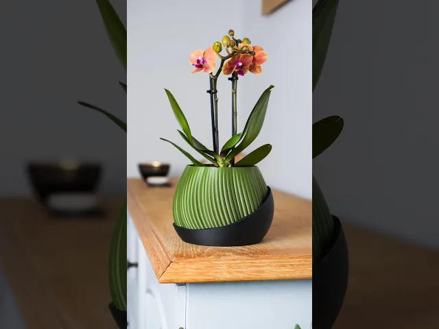 Plant Pot Bloomcrest - Planter STL to 3D print - Fused Drainage Pot + Drain Tray video thumbnail