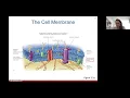 Ch 3 Part 1 - The Cell