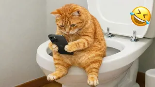Try Not To Laugh π Super Funny Cats and Dogs Moments π