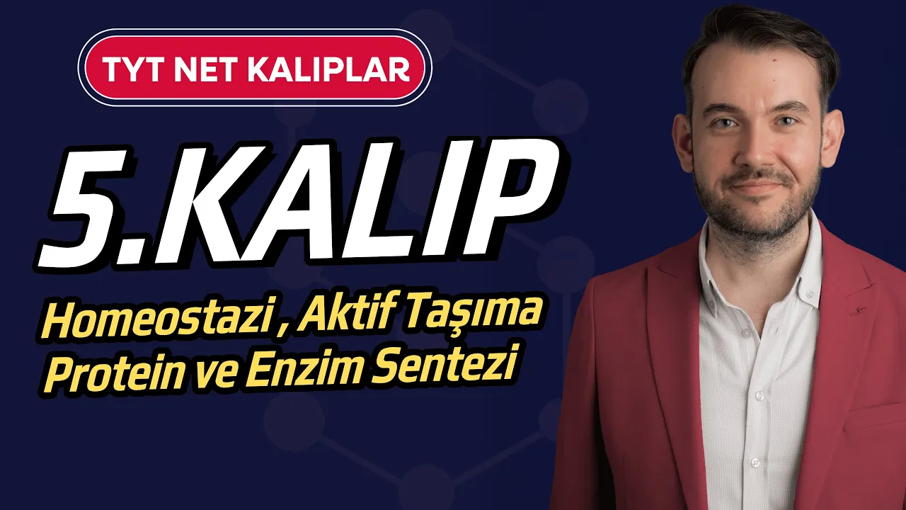 5) TYT Biyoloji Net Kalıplar l Homeostazi l Aktif Taşıma l Difüzyon l Enzim ve Protein Sentezi