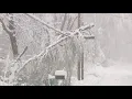 STORM CENTER Majority of York County CMP customers without power by noon