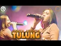 Download Lagu SHINTA ARSINTA FEAT MRJ PROJECT - TULUNG