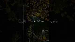 صوت ملائكي كلا إذا دكت الأرض دكا دكا قران كريم قرآن قران Quran 