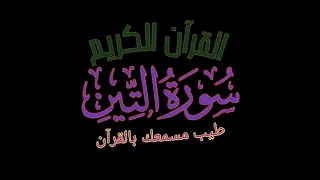 سورة التين بصوت الشيخ ماهر المعيقلي 