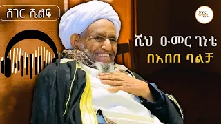  muftihajiumar idris sheger shelf