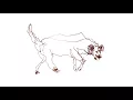 They Might Be Giants - Dog (Official Video)