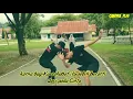 Download Lagu Story Wa - persahabatan lebih indah daripada Cinta