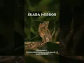 Download Lagu suara burung hantu Seram
