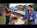 Download Lagu बाढ़ के बाद इंडिया की सड़कों की स्थिति पर कपिल ने दिया शॉकिंग बयान | The Kapil Sharma Show | Episode