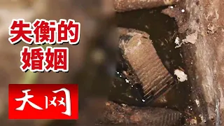 《天网》消失了两三年的女子成了化粪池里的无名尸体 耗尽全部积蓄的婚姻破裂催生出了怎样的恶念？20260928