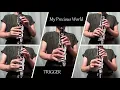 Download Lagu 【TRIGGER】My Precious World   クラリネット五重奏ver 【アイナナ ダンマカ】