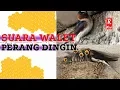 Download Lagu Suara Panggil walet | SP. PERANG DINGIN BY RIHADI