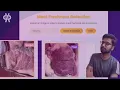 Download Lagu YOLOv12 for Meat Freshness Detection: A Step-by-Step Guide