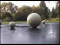 David Fried - Self Organizing Still-Life [sos] videomix