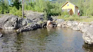                                                           دندنها