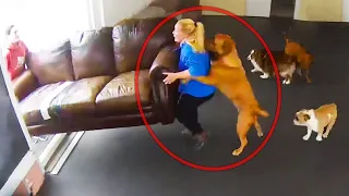 مقاطع لم يتم تصويرها لما صدقها أحد تجمعة متنوعة لأغرب مقاطع الفيديو 