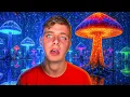 Download Lagu Mushroom Experience In Japan!