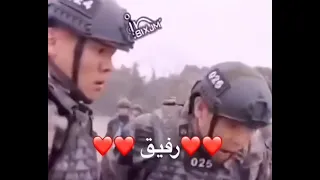 الصقر يخاوي صقر ما يخاوي غراب 