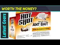Hot Shot Ant Bait The Best Solution for Ant Infestations