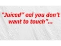 Juiced eel you don t want to touch CodyCross Crossword Answer