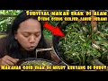 Download Lagu TONGSENG JAMUR JERAMI BERBURU MAKANAN ALAM TERBARU