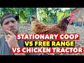 I VE TRIED ALL STYLES OF CHICKEN COOPS WHAT S BEST
