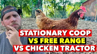 I VE TRIED ALL STYLES OF CHICKEN COOPS WHAT S BEST