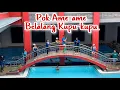 Download Lagu Pok ame-ame belakang kupu-kupu | Hutang - Zumba