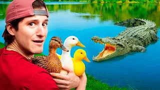ENCONTRE A MIS PATOS PERDIDOS EN EL LAGO !!