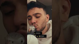 منتخم الترند مع الشامي وعنتور Alshami اكسبلور الشامي دوالي Shorts دكتور لايك ترند Video عنتور 