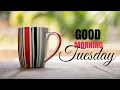 Happy Tuesday Good Morning Wishes Messages Quotes 2021