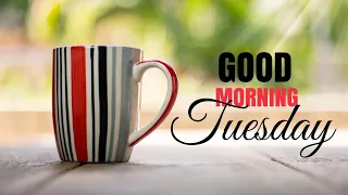 Happy Tuesday Good Morning Wishes Messages Quotes 2021