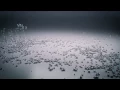 Particle tests 7 visual