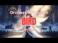 JKT48 – BIRD (Orchestral Version) 🎻 | Angelic Performance in Cathedral Hall