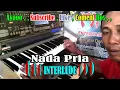 Download Lagu Selayang Pandang Patam NADA PRIA | By Simbolon Sister || KARAOKE KN7000 FMC