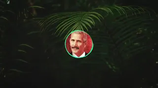 اغنية طريق الغابة 