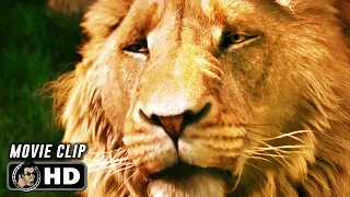 the chronicles of narnia the lion the witch and the wardrobe clip 