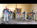 Mariachi Reynas y Reyes/CUANDO TU ME BESAS
