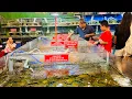 Download Lagu Choáng Ngộp Buffet Hải Sản vé 300 ngàn, Đông Nghẹt, Quá Trời Hải Sản, Buffet Lụm Lúa quận 8