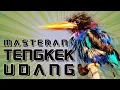 Download Lagu 🔴PALING DI CARI !!! TENGKEK UDANG GACOR COCOK BUAT MASTERAN