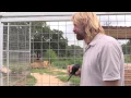 Joe Exotic TV - Tiger Attacks Skippy s Hose and Erik Cowie Is About To Explode