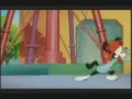 Lagu Animaniacs - Best Of Wakko