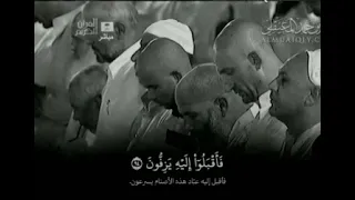 فما ظنكم برب العالمين   ماهر المعيقلي دندنها