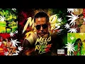 Melô Agudo Mágico 3 Reggae Funk - MC K.K ( Dj Davi Mix Ofc)