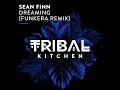 Dreaming (Funkera Remix)