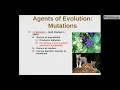 Chapter 16 17 Evolution and Natural Selection Part 3