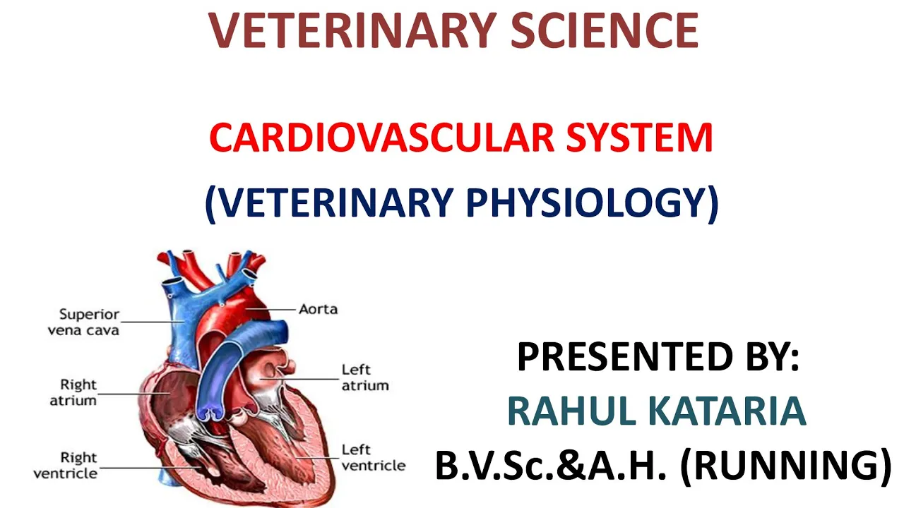 CARDIOVASCULAR SYSTEM ( PART-1)